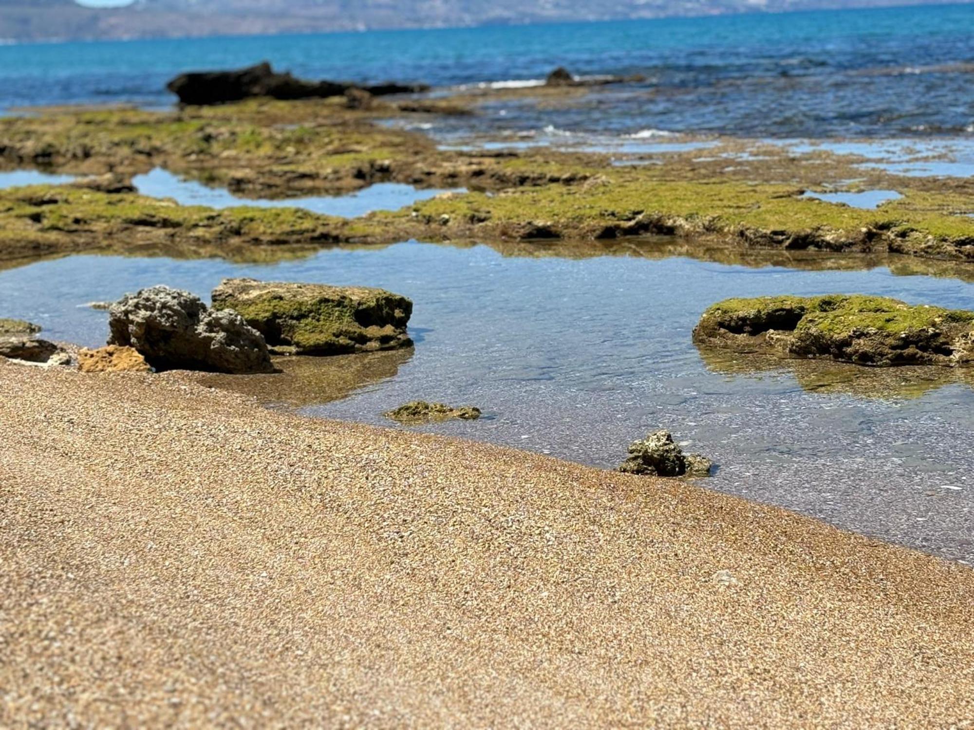Lu Mari Case Vacanze Balestrate Exteriér fotografie